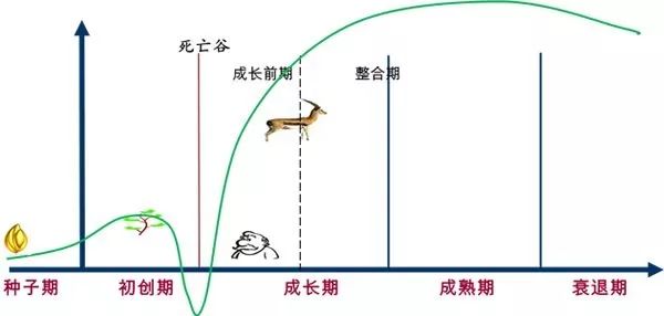 澳門(mén)王中王100,精細(xì)解讀解析_X45.963