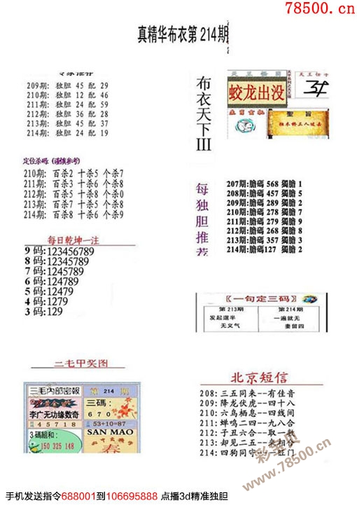 正版真精華布衣天下今天,實地驗證設計解析_2DM13.838