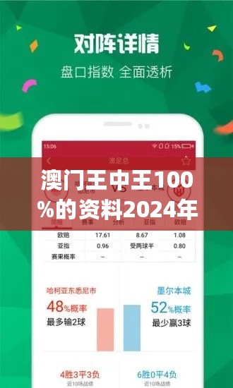 2024年澳門王中王100,安全性策略解析_錢包版56.104