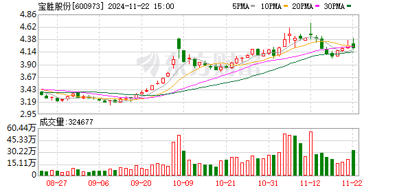 寶勝股份股票最新消息全面解析