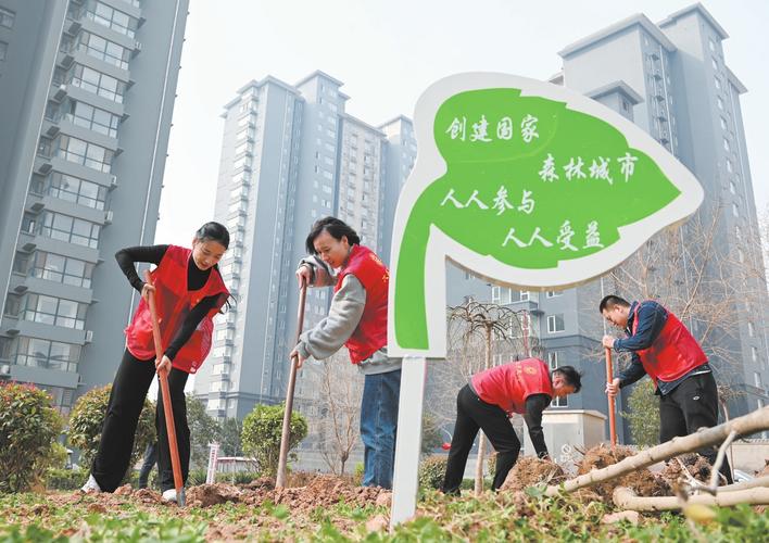 復(fù)興街道最新動(dòng)態(tài)揭秘，探索城市發(fā)展前沿新聞