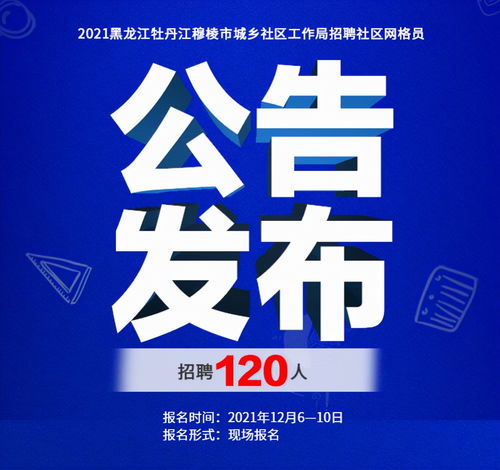 迎江區(qū)統(tǒng)計局最新招聘信息全面解析及招聘細節(jié)詳解