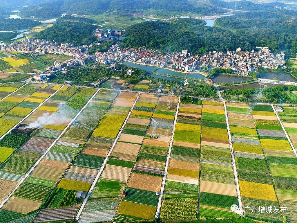 田心鎮(zhèn)最新項(xiàng)目，地區(qū)發(fā)展新動(dòng)力引領(lǐng)者