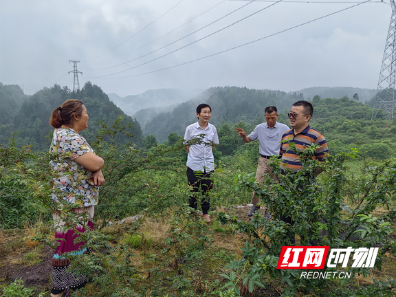 夏果村新項(xiàng)目啟動，鄉(xiāng)村振興新篇章