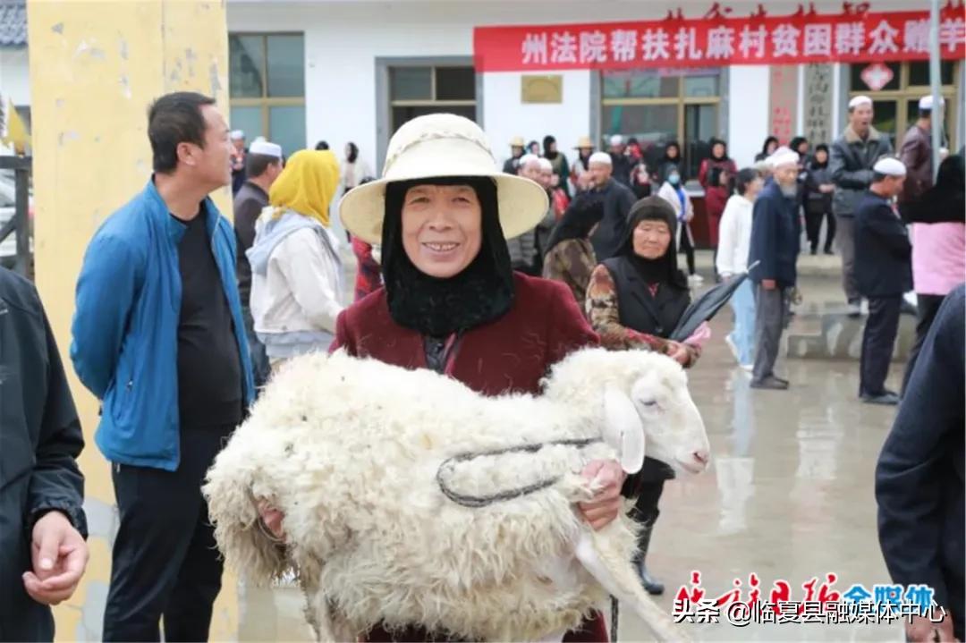 麻尼寺溝村委會發(fā)展規(guī)劃概覽，邁向未來的藍(lán)圖