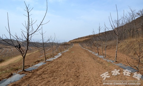 秦亭鎮(zhèn)未來繁榮與和諧共融的藍圖發(fā)展規(guī)劃揭秘