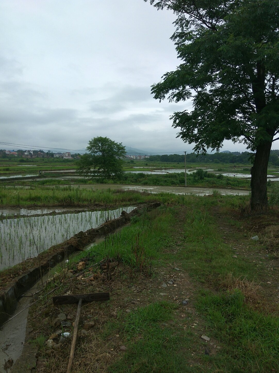 松源鎮(zhèn)天氣預(yù)報(bào)更新通知