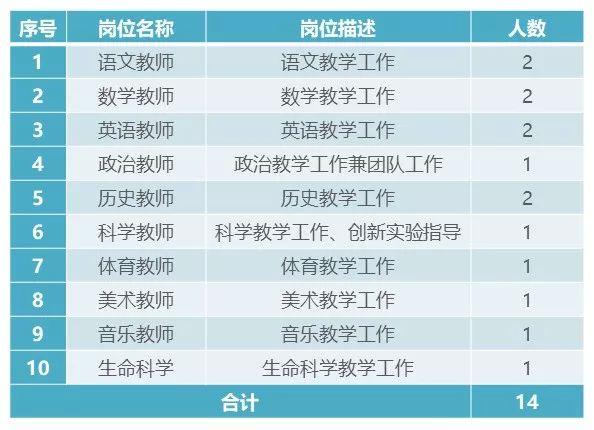 天山最新招聘信息全面解析