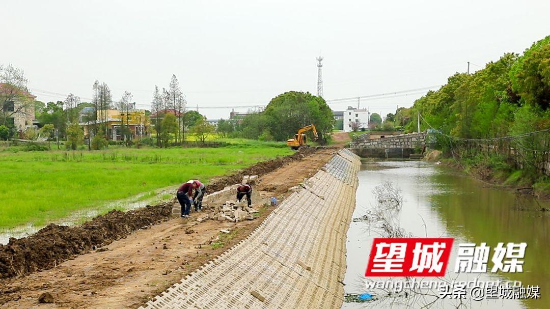 望城縣住房和城鄉(xiāng)建設(shè)局領(lǐng)導(dǎo)團(tuán)隊(duì)最新概述